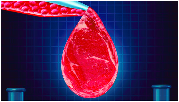 Automated production of clean meat